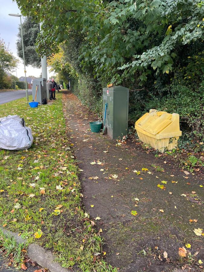 Verge Clearing October 2025